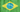 Abedul Brasil